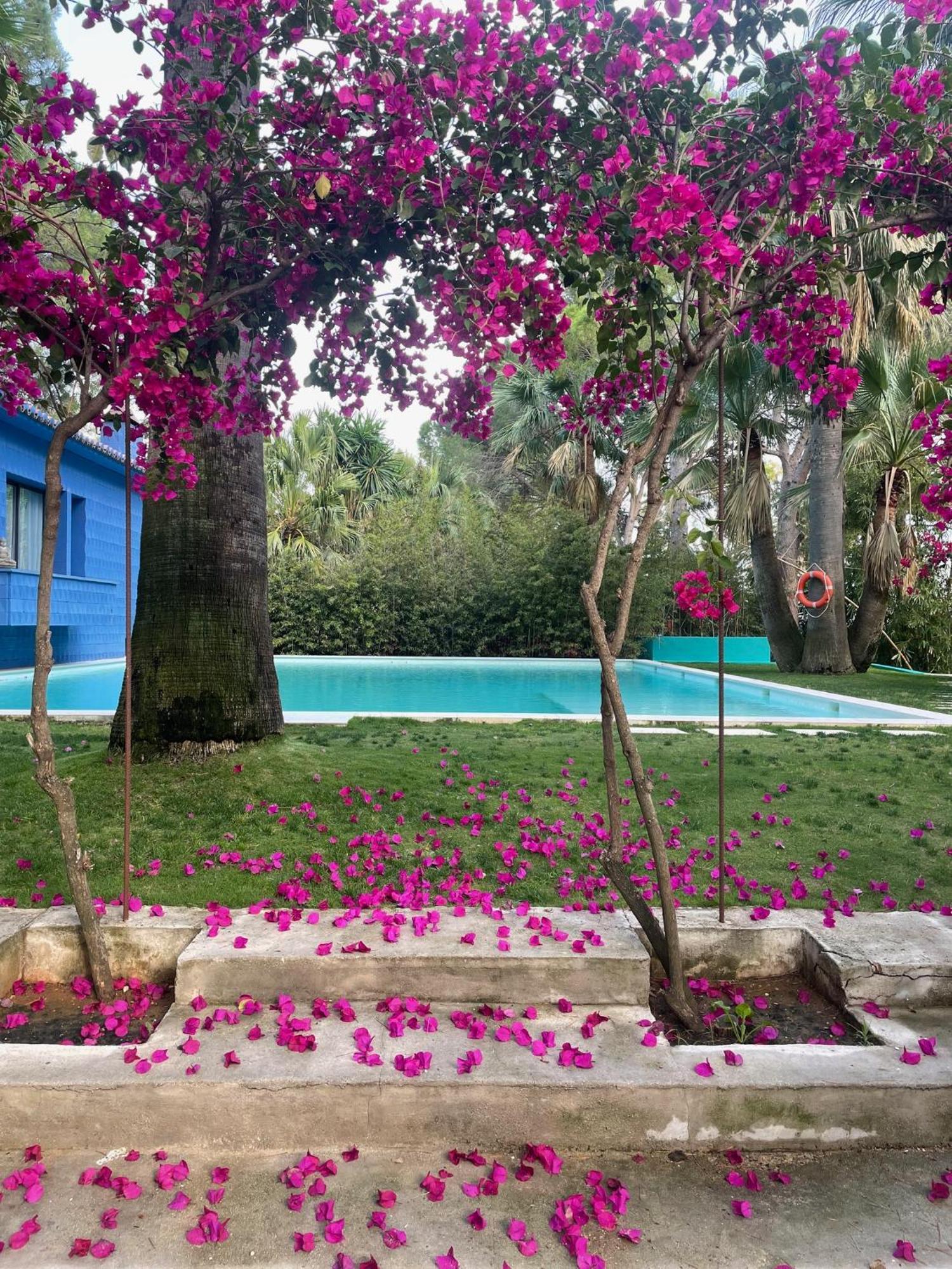 Hotel El Botanico De Sagra Exteriér fotografie